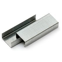 סיכות למכרסמים 26/6