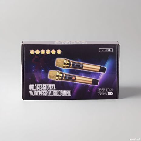 זוג מיקרופונים אלחוטיים מקצועיים LT-666