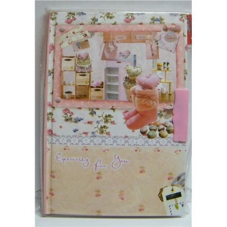 יומן, פנקס עם מנעול