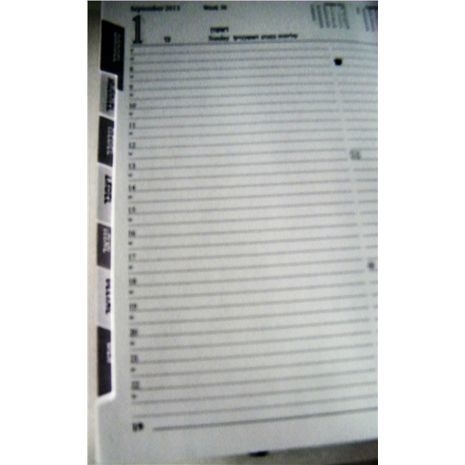 Rated Daily Log, hardcover, luxurious 27X22 cm for 2017-2018