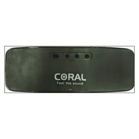 בידורית רמקול נייד סטריו Bluetooth ,  נטען משולב נגן MP3/USB/SD/MP4/PC וטלפונים ניידים CORAL PARTY  CX-10