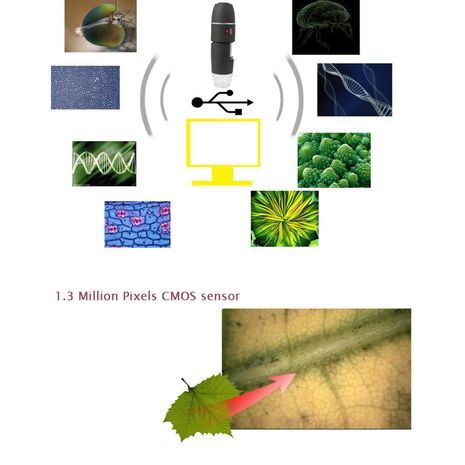 USB מיקרוסקופ, HD 12 מגה פיקסל. מיקרוסקופ דיגיטלי USB 1000x