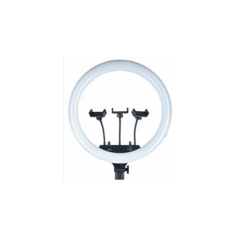 ZB-F488 תאורה מקצוית רינג לד ס”מ 55 ס”מ איכותי + חצובה 2.1 מטר + שלט  רחוק