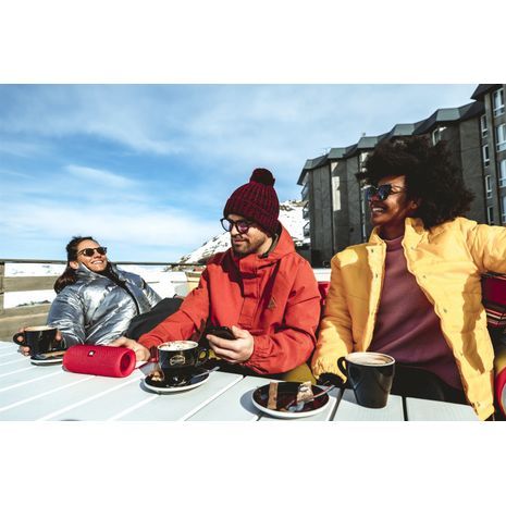 רמקול נייד BLUETOOTH מתאים כל סוגי טלפונים ניידים, טאבלטים. דיבורית פנימי  JBL Flip5