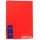 Large ruled notebooks for 2 subjects A4